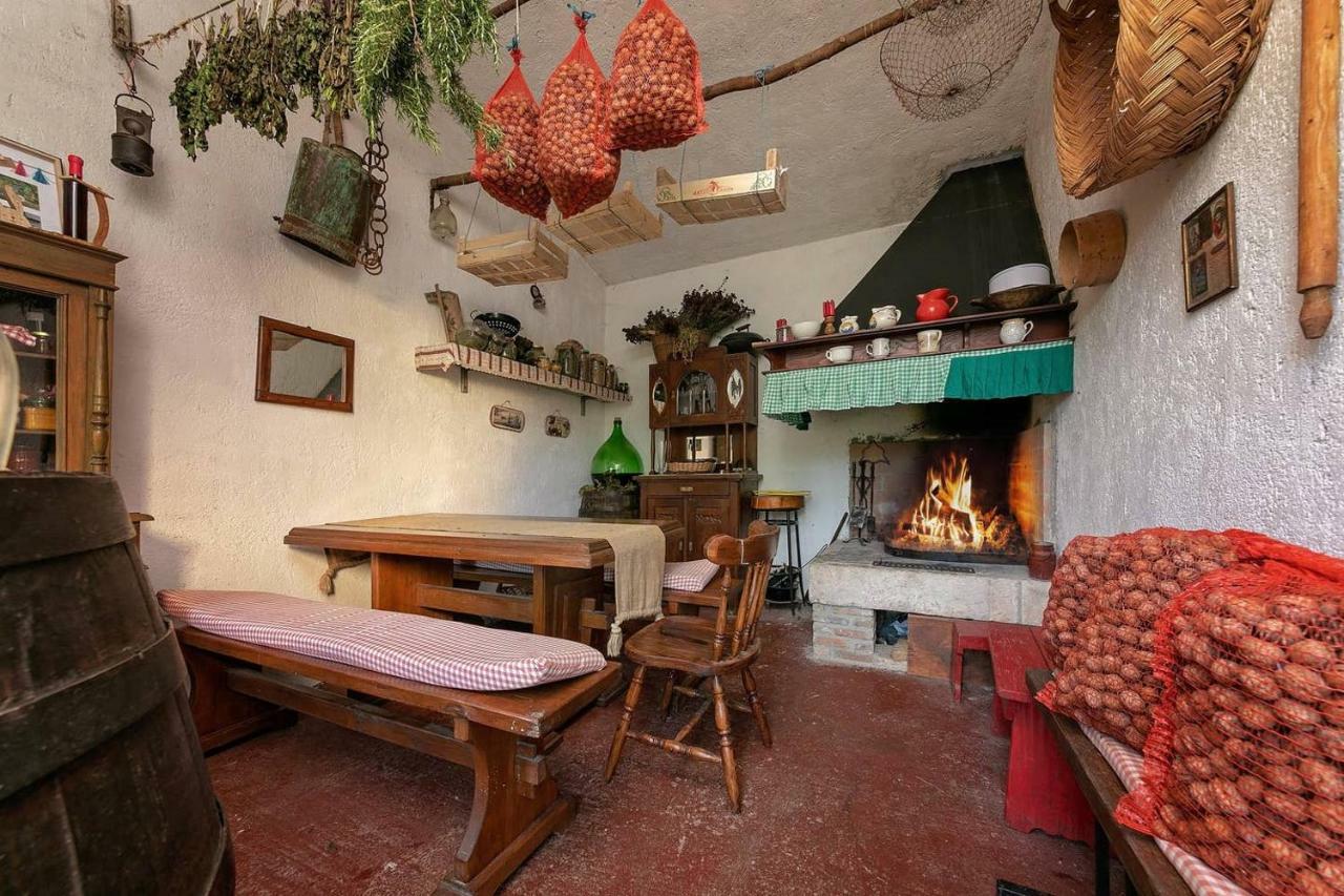Studio Apartment Vrsar Zewnętrze zdjęcie